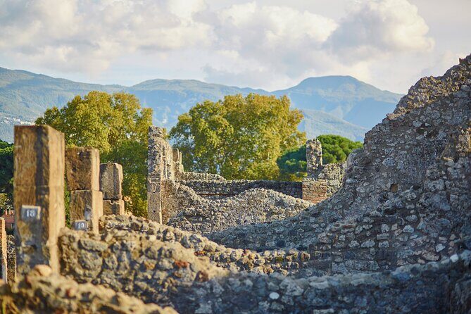 Pompeii Private & Personalized Tour with archeology expert guide - Pompeii rules you should know before you go