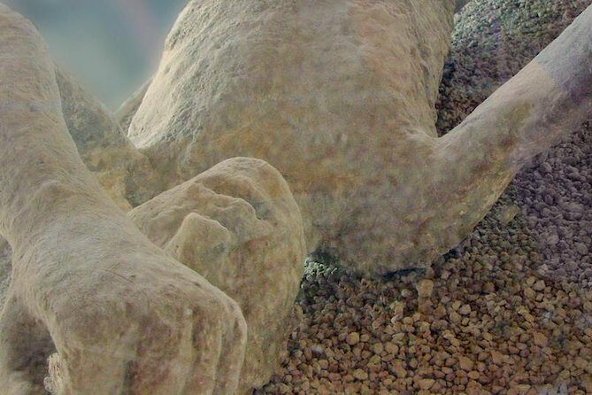 Pompeii Private Tour from Sorrento Entrance fees included - The Guide: Art Historian Storytelling You Can Actually Use
