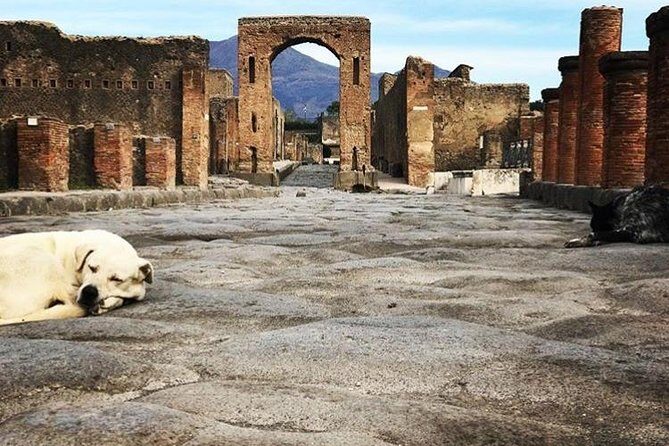 Pompeii Private Tour with Expert Guide - The heart of Pompeii: theatres, square, streets, and daily life