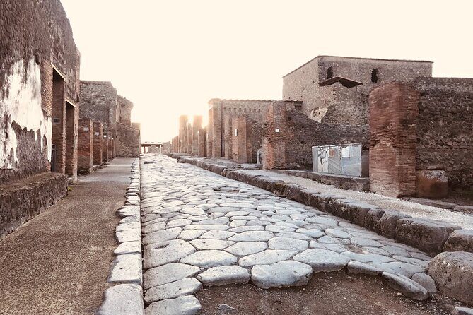 Pompeii Private Tour with expert local guide - Practical tips to make the 2 hours count