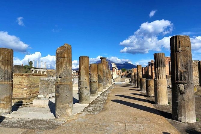 Pompeii Ruins: Day Trip from Naples with skip the line ticket - Price and value at about $81.10: what you’re paying for