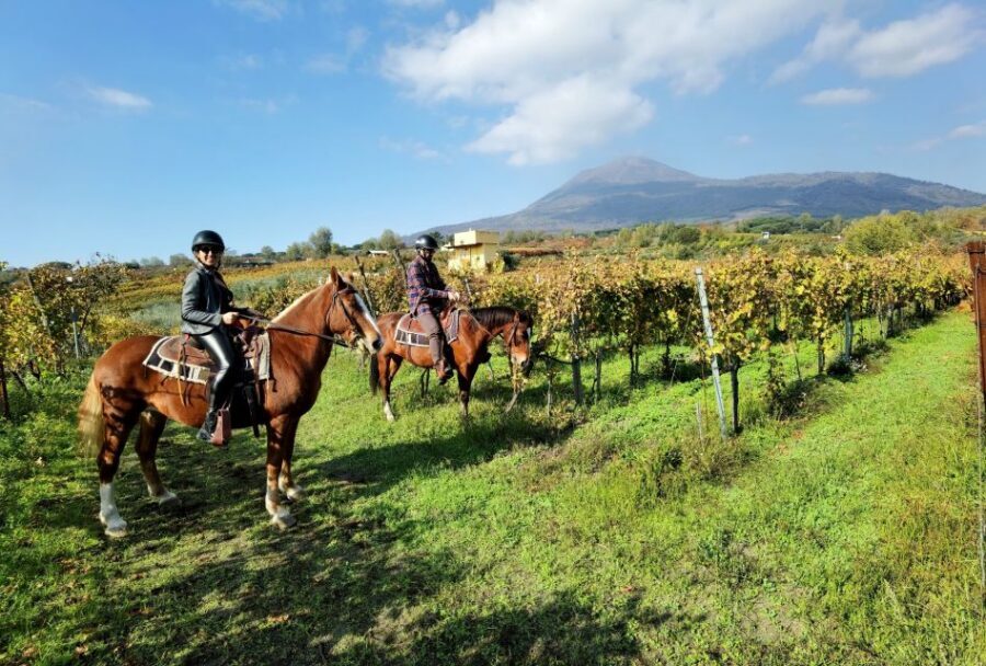 Pompeii: Ruins Tour and Mount Vesuvius Horseback Ride - Key points at a glance