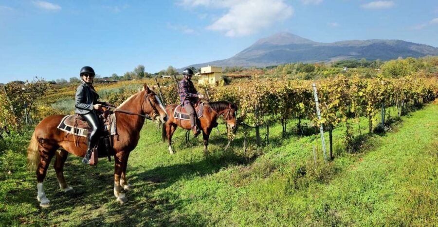 Pompeii: Ruins Tour and Mount Vesuvius Horseback Ride - Meeting point at Hortus Pompei: the easiest way to start on time