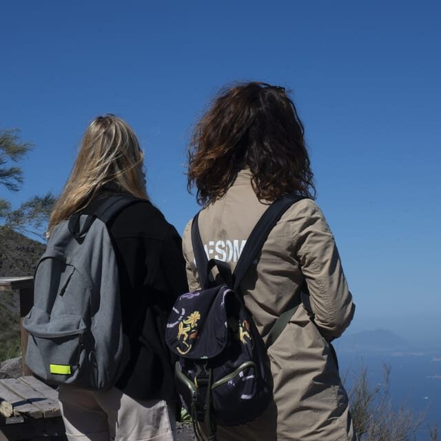 Pompeii Ruins & Vesuvius Full-Day Tour from Pompeii - Meet at Hotel Vittoria: timing, WhatsApp, and your day flow