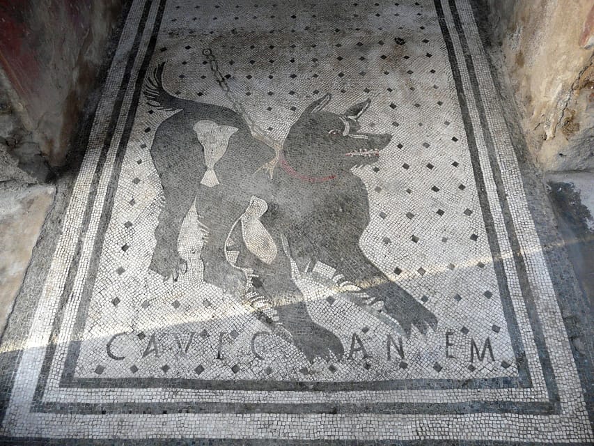 Pompeii: Skip-the-Line Entry & Audioguide - Your first big moment: Pompeii’s Forum with Vesuvius in view