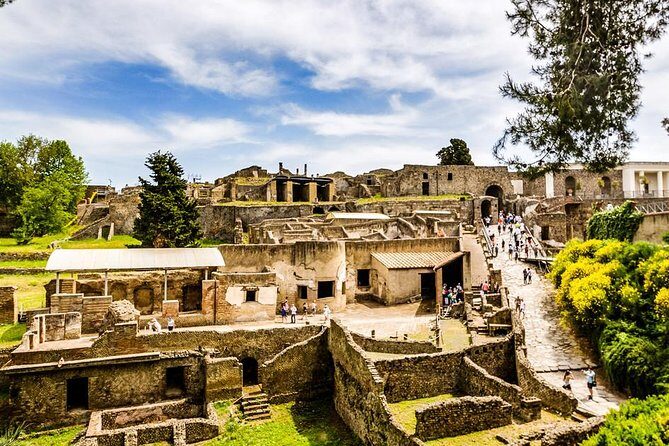 Pompeii Skip-the-Line Entry & Guided Tour with a certified guide - Stop 4: Casa del Fauno (elite home and the Alexander mosaic)