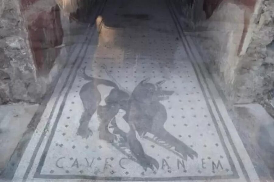 Pompeii: Skip the Line Ticket + Audioguide - Planning your walk inside Pompeii without feeling rushed