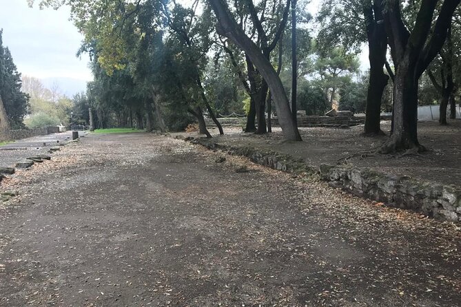 Pompeii Small Group Guided Tour with Skip-the-line Admission - Pompeii in two hours: what a small group lets you do