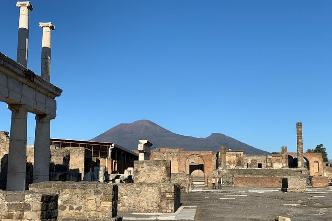 Pompeii Small Group Tour & Food/Wine tasting at Mt. Vesuvius - Who this tour fits best (and who might prefer other options)