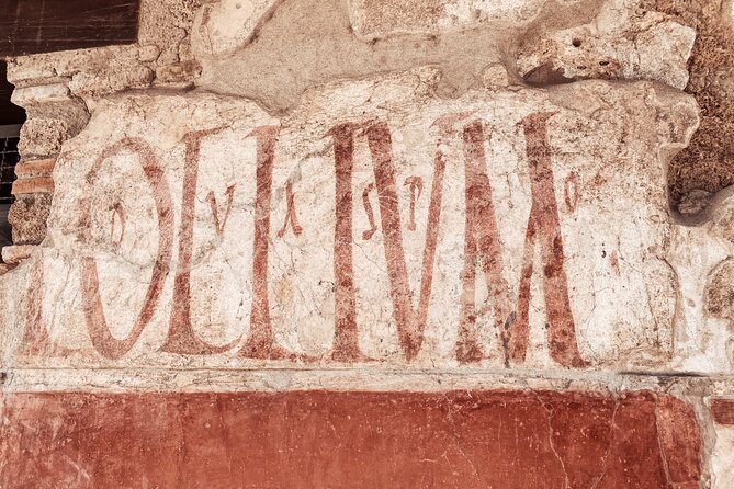 Pompeii Small Group with an Archaeologist and Skip The Line - Price and value: is $217.69 worth it?