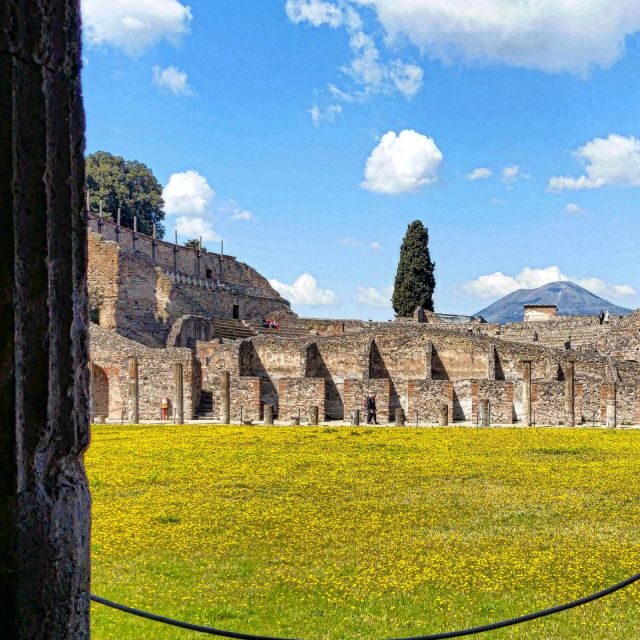 Pompeii Sunset tour for small group - House of the Faun and the theatre district: where details feel personal