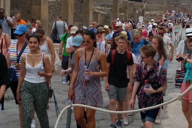 Pompeii the Ancient City (Tour+Transfer) - Casa del Fauno: luxury Roman living, not just pretty rooms