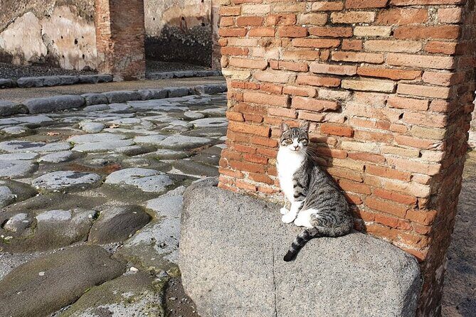 Pompeii the Ancient City (Tour+Transfer) - What the group size changes (and what it doesn’t)
