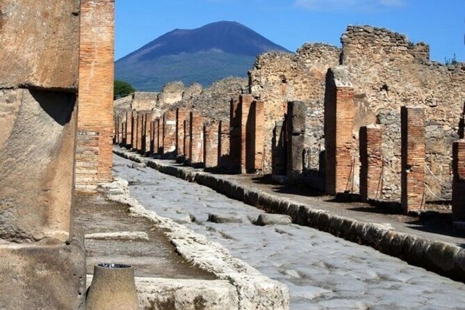 Pompeii Tour from Sorrento (tickets not included) - Sorrento to Pompeii by private minivan: where the value really starts