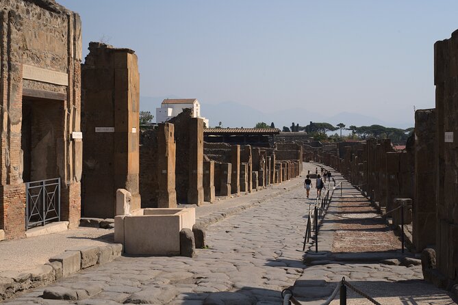 Pompeii Tour & Lunch with Wine Tasting Experience - Price and value: what $120.98 buys you in a 5-hour day