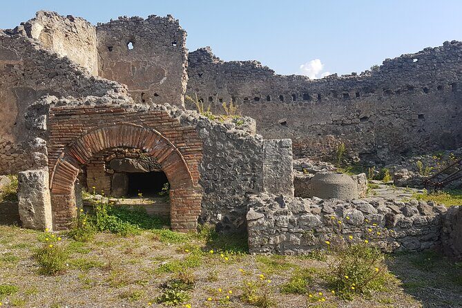 Pompeii Tour with experienced guide - Homes with Gardens: Seeing Pompeii as a Place to Live