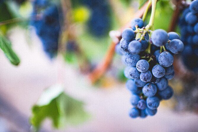 Pompeii, Vesuvius & Wine Tasting - The Big Picture: Why Vesuvius and Pompeii in One Day Works