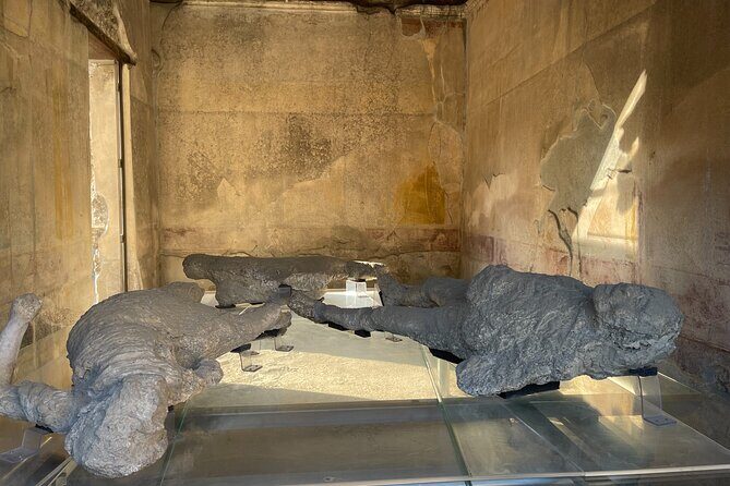 Pompeii, Vesuvius & wine tasting from Positano all inclusive - Who should book this Pompeii, Vesuvius and wine tour from Positano