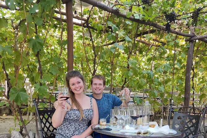 Pompeii, Vesuvius & Wine Tasting Private day Tour - What’s Included in the Price (and What You Still Need to Pay)