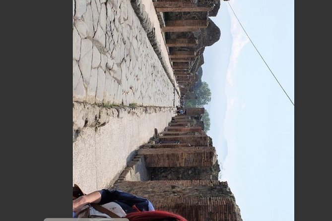 Pompeii, Vesuvius & Wine Tasting Private day Tour - Pickup and the English-Speaking Driver: The Real Value