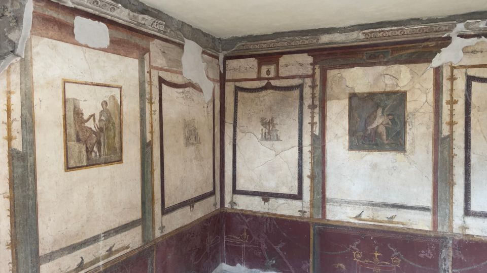 Pompeii-Vesuvius & Winery All Inclusive Tour From Positano - From your hotel to the first ruins: how the day starts