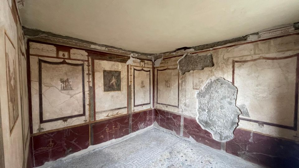 Pompeii-Vesuvius & Winery All Inclusive Tour From Positano - Skip-the-line tickets: what you really gain