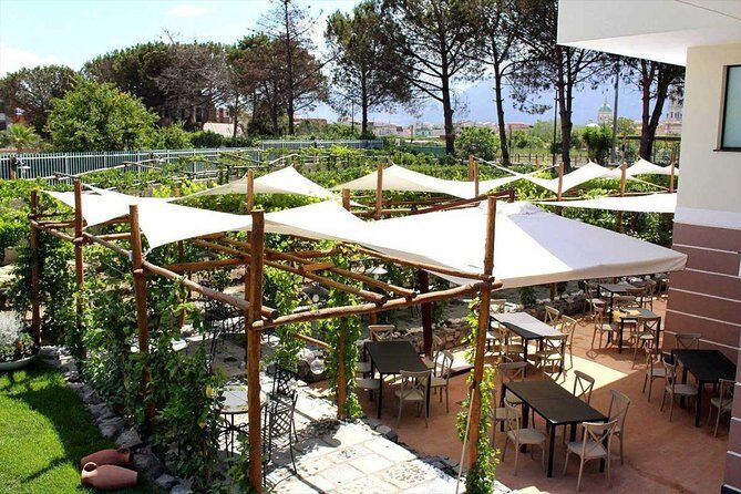 Pompeii & Vesuvius with Lunch & Wine Tasting from Amalfi Coast - Final verdict: should you book it?