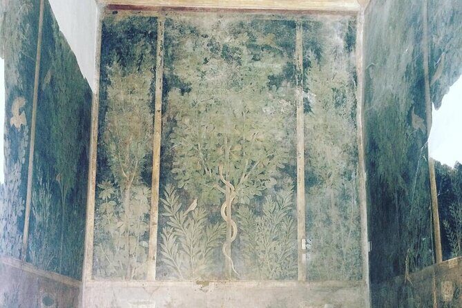 Pompeii walking tour (2hrs) - Pompeii’s preserved streets: what you’ll actually see