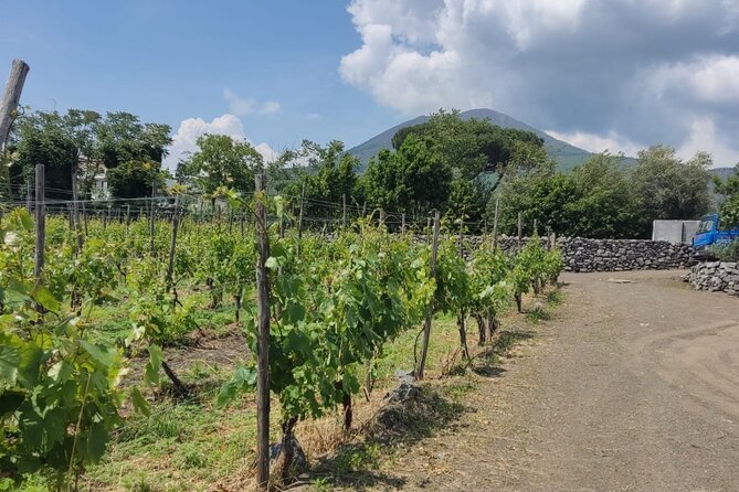 Pompeii & Wine Tasting : Private Day Trip from Naples - Getting the most out of a private day: drivers, language, and how to communicate