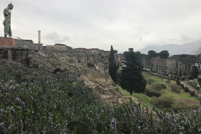 Pompeii Wine Tasting Tour from Positano - Positano to Pompeii: the ride rhythm and pickup reality