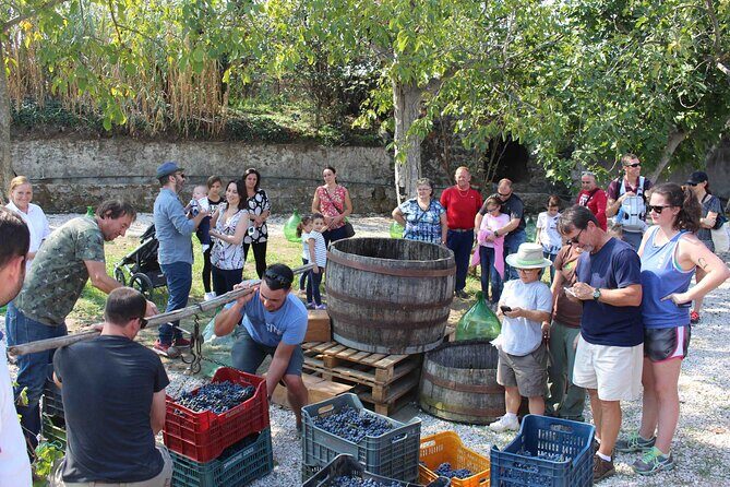 Pompeii Wine Tasting Tour from Positano - Who should book this Pompeii wine tasting day from Positano?