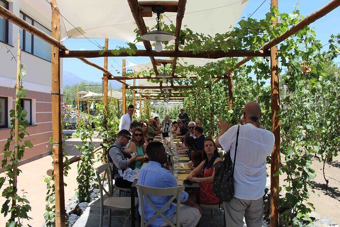 Pompeii Wine Tasting Tour from Positano - Should you book?