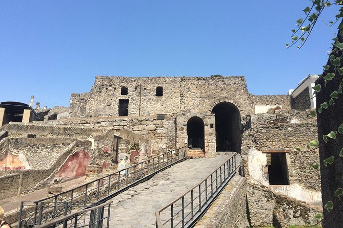 Pompeii-Wine tasting tour from Sorrento, licensed guide included - Drivers, Guides, and Real-Day Flexibility