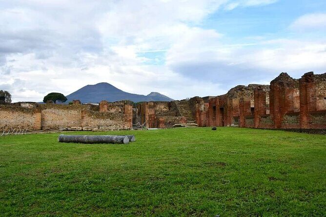 Pompeii & Wine Tour from Sorrento (tickets & lunch not included) - What’s Actually Included vs. What You’ll Pay for
