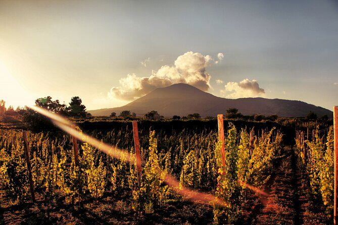 Pompeii with Wine Tasting and Lunch from Naples - Why This Pompeii + Winery Day Works Better Than Two Separate Plans