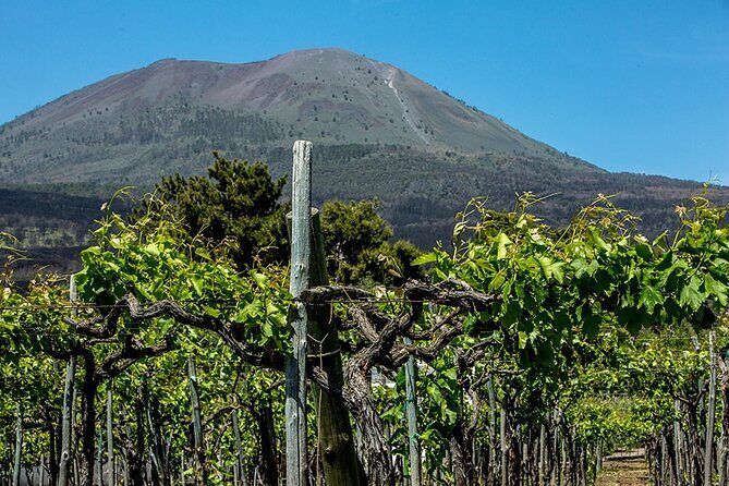Pompeii with Wine Tasting and Lunch from Naples - Cameos and Corals Workshop: A Tiny Break With Ancient Connections