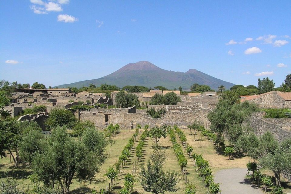 Pompeii with Wine Tasting Private Tour - Timing and day length: what a 6-hour plan really means