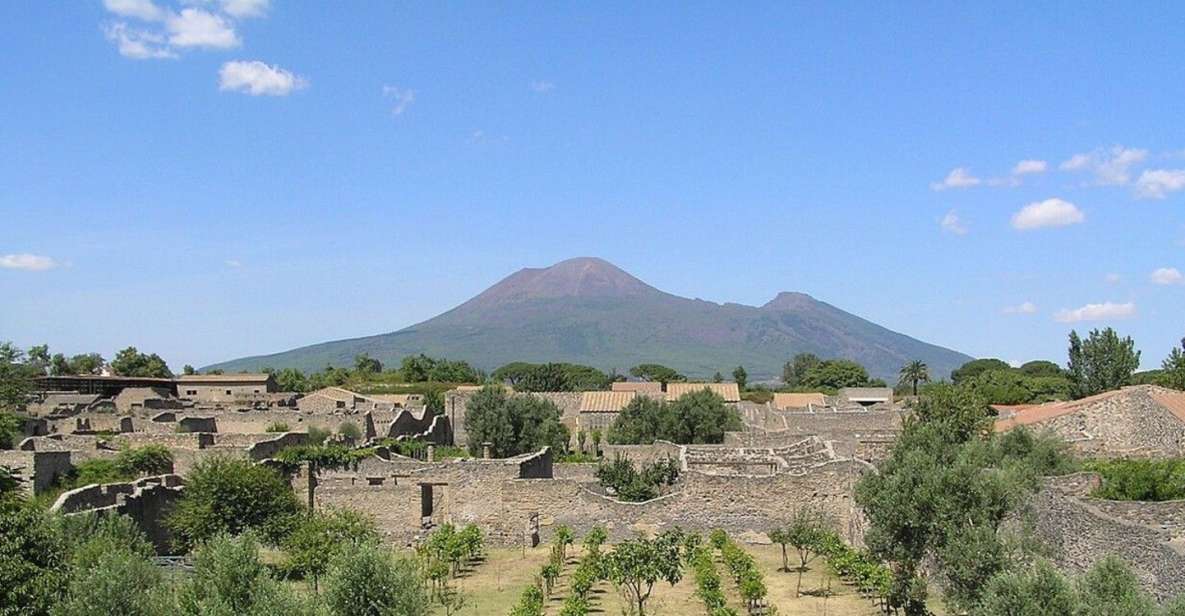 Pompeii with Wine Tasting Private Tour - Pickup by minivan: the biggest win in the Amalfi–Naples area