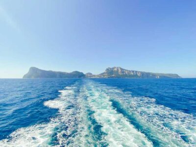 Positano: Capri and Blue Grotto Shared Boat Tour with Drinks - Board the Boat: Skipper Frederico, Drinks, and Snorkel Masks