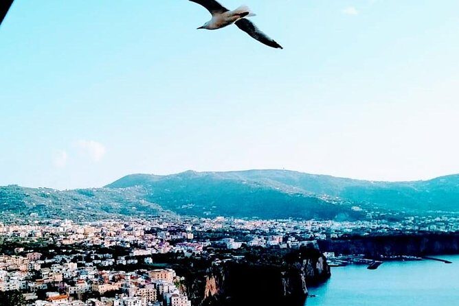 Positano - Pompeii - Private pickup from Sorrento: why this format feels easier