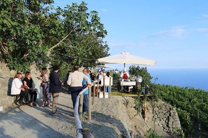 Premium Ischia Wine Tasting Experience with Transfer Included - The 3-Hour Timeline That Fits Real Life