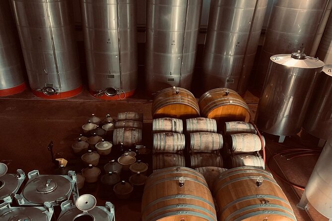 Premium Ischia Wine Tasting Experience with Transfer Included - Pairing with Salumi and Cheese: How to Taste Without Guesswork