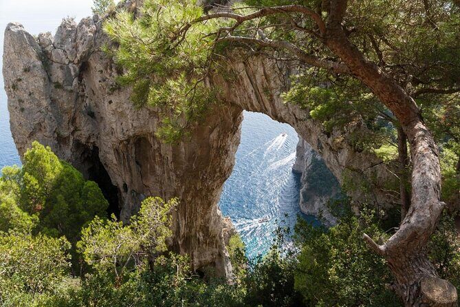PRIVATE CAPRI ISLAND & BLUE GROTTO Full Day boat tour. - Key things to know before you go