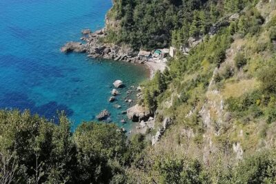 Private day tour: Pompeii, Sorrento and Positano. - Timing Matters: Starting Around 8am to Cut Through Naples Traffic