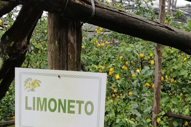 Private day tour: Pompeii, Sorrento and Positano. - Positano After Pompeii: When Time Is Short, Walk Smart