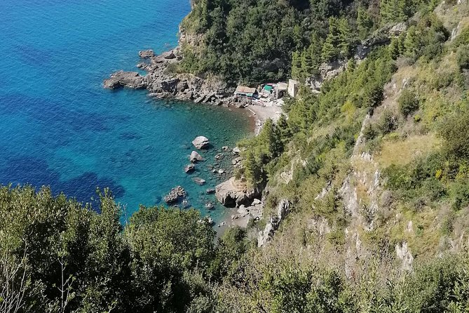 Private day tour: Pompeii, Sorrento and Positano. - Timing Matters: Starting Around 8am to Cut Through Naples Traffic