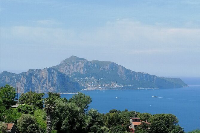 Private day tour: Pompei,Vesuvius and Herculaneum. - Price and Value: What You’re Paying For (And When a Cheaper Taxi Can Make Sense)