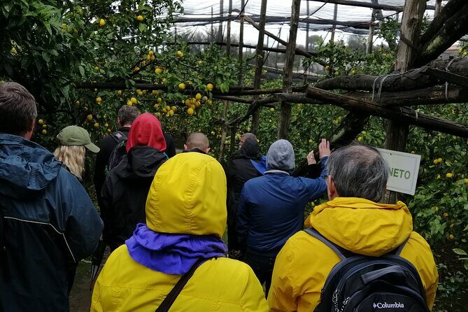 Private day tour: Sorrento, Positano, Amalfi and Ravello. - Why this private Amalfi Coast day works so well from Naples
