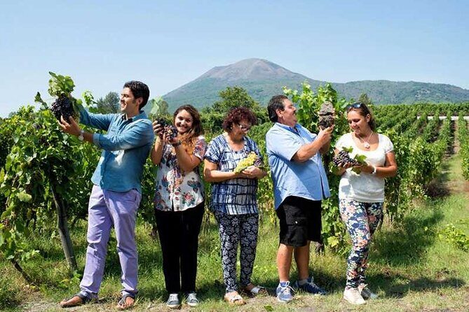 Private day tour: Sorrento, Positano, Amalfi and Ravello. - How to build a smooth schedule for a 7–8 hour day