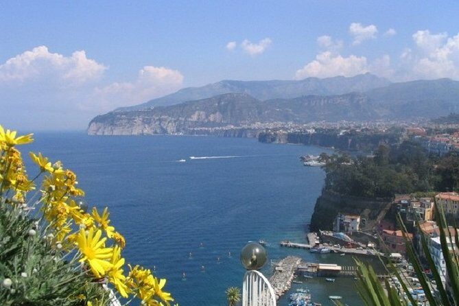 Private Day Tour: Sorrento, Positano, Amalfi, Ravello from Naples - Why a private chauffeur matters on the Amalfi Coast roads